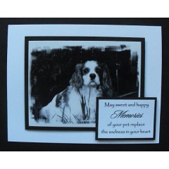Dog Sympathy Greeting Card - 54